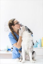 Dog licking female veterinarian s mouth clinic