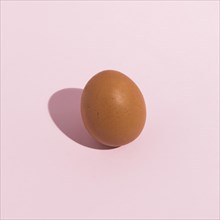 Small brown chicken egg pink table