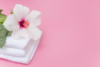 Close up white hibiscus flower towels pink backdrop