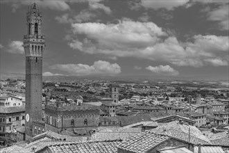 Above the roofs of Siena with view of the bell tower Torre del Mangia