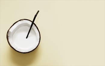 Coconut milk halved coconut with copy space