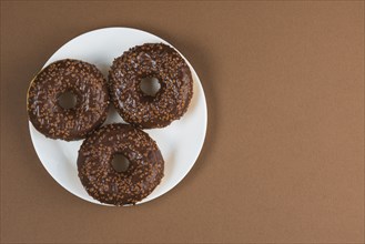 Chocolate glazed doughnuts white plate