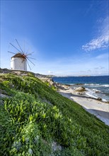 Cycladic windmill on the coast