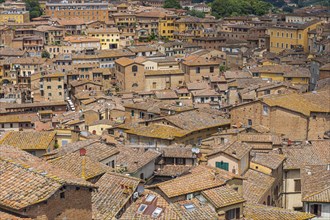 Above the rooftops in the historic centre of Siena