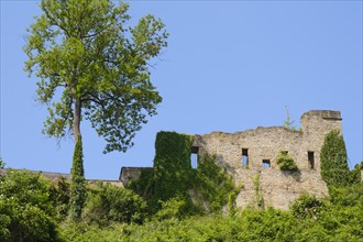 Castle ruin