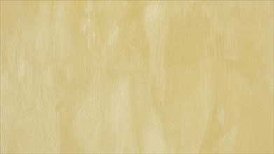 Empty monochromatic beige painted background