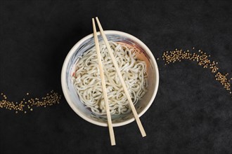Homemade udon noodles japanese food with coriander seeds design black background