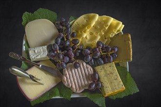 Cheese platter on a dark background