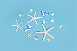 White starfish and sandals on blue background