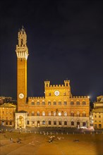 The Piazz del Campo with its bell tower Torre del Mangia and the town hall Palazzo Pubblico