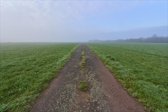 Field path