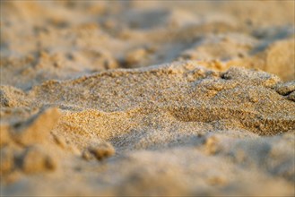 Fine beach sand close up texture background