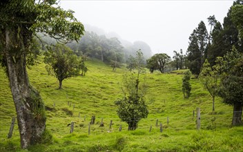 Beautiful costa rican countryside with rich green hills