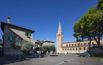 Olive trees at Campo Patriarca Elia with Basilica Sant Eufemia