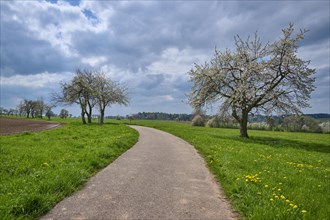 Field path