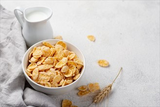 High angle breakfast corn flakes with milk copy space