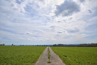 Field path