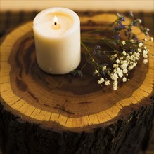 Aroma candles with flowers tree stump