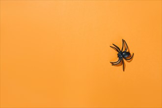 Black decorative spider with long legs