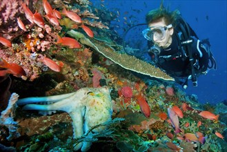 Female diver looking at octopus