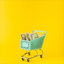 Grocery cart with money