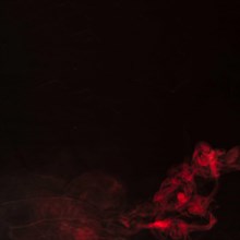 Movement red smoke black background with copy space writing text