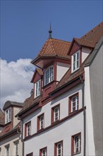 Historic roof elevator bay