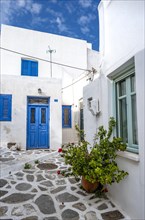 White Cycladic houses with flowers