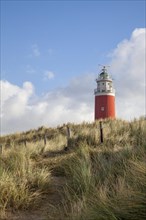 Lighthouse Eierland with dunes