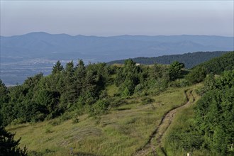 Mountain landscape of the Balkan Mountains and the forested slopes of the Balgarka nature park Park in Central Bulgaria. Shipka