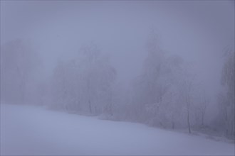 Winter in the Ore Mountains