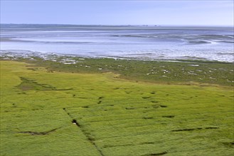 Aerial view over salt marsh