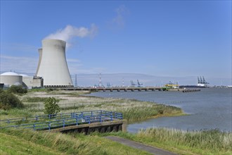 Cooling towers of the Doel Nuclear Power Station along the river Scheldt at Kieldrecht