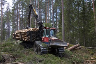 Logging industry showing timber