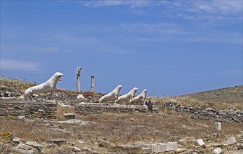 Lion Alley or Lion Terrace in the ruins of the ancient city of Delos