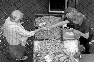 Black and white bird's eye view photo of a stall full of fish with the seller and a buyer
