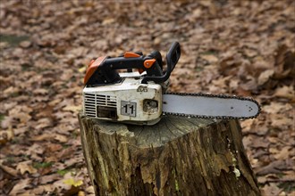 Chain saw resting on stump of cut tree in forest