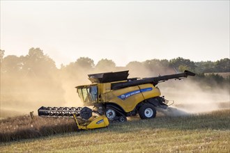 New Holland CR9. 90 Combine Harvester harvesting rapeseed crop in field in summer for production of animal feed