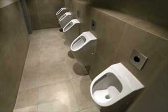 Pissoires of a men's toilet