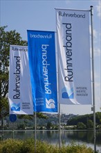 Flagpoles with flags of the Ruhrverband at the Harkortsee