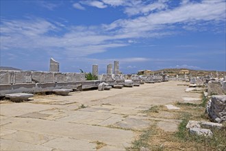 Agora of the ancient city of Delos