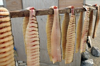 Traditional fish preservation method