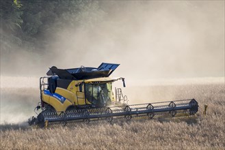 New Holland CR9. 90 Combine Harvester harvesting rapeseed crop in field in summer for production of animal feed