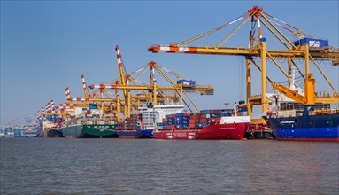 Container ships at the container terminal with extremely long river quay