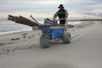 Transport of building material by the bird warden on the island of Minsener Oog