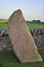 The Serpent Stone