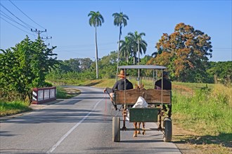 Two Cubans riding in horse-drawn carriage along the Circuito Sur