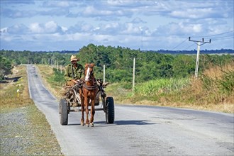Cuban man riding horse-drawn cart along the Carretera Central