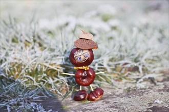Funny chestnut figure in winter