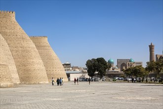 Ark Citadel Wall